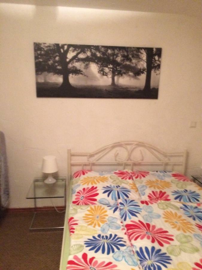 Wohnung Nur Fuer Monteure Und Handwerker บาดโครซิงเงน ภายนอก รูปภาพ